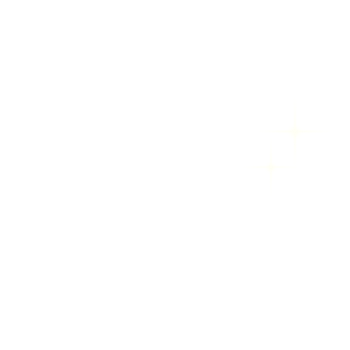 Feet Cleaner
